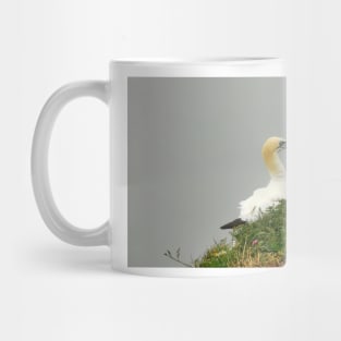 Gannet Mug